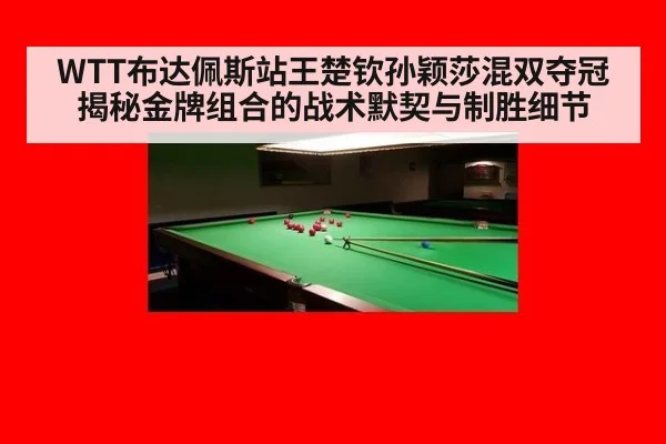 WTT布达佩斯站王楚钦孙颖莎混双夺冠 揭秘金牌组合的战术默契与制胜细节